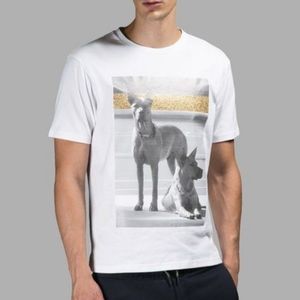 (On hold)NWOT Authentic Palm Angels T-Shirt L-XL